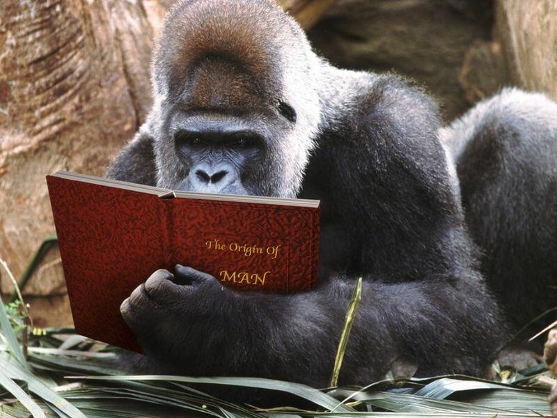 Библиотечный гороскоп на 2016 год