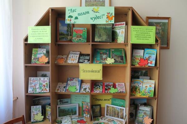 Береги лес или правила поведения в лесу.