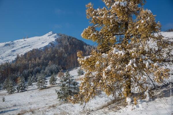 Горная страна