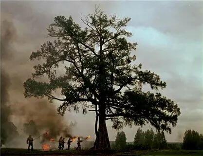 Сохранить землю и душу