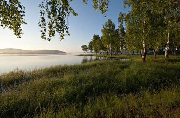 Страна деревьев