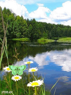 Край заповедный — Родина моя!