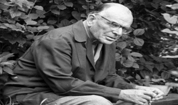 Размах величественных далей