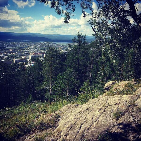 Родного города черты