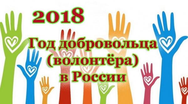 Год добровольца