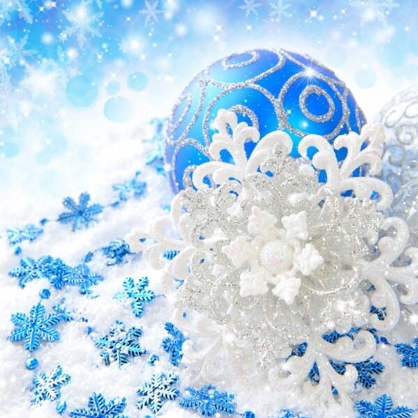 Веселые каникулы