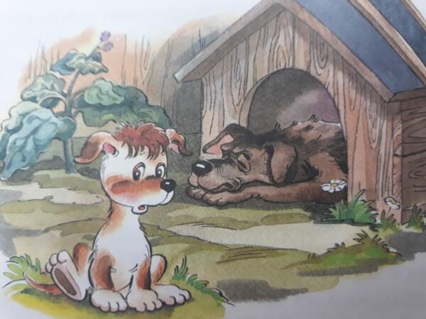 Разноцветные сказки