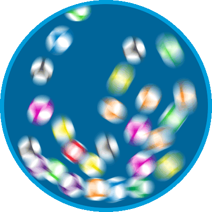 Лотерея в библиотеке