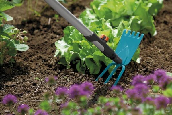 Для садоводов и огородников: изменения правил землепользования