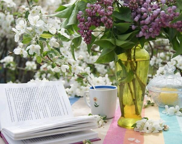 Что май веселый нам готовит?