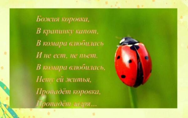 Наша уральская москвичка