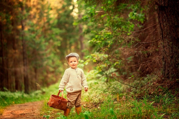 Ребёнок в лесу: правила безопасности