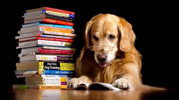 Жизнь животных полна загадок!