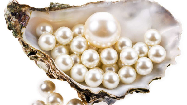 Книжные жемчужины