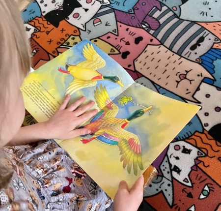 По следам «лягушки — путешественницы»