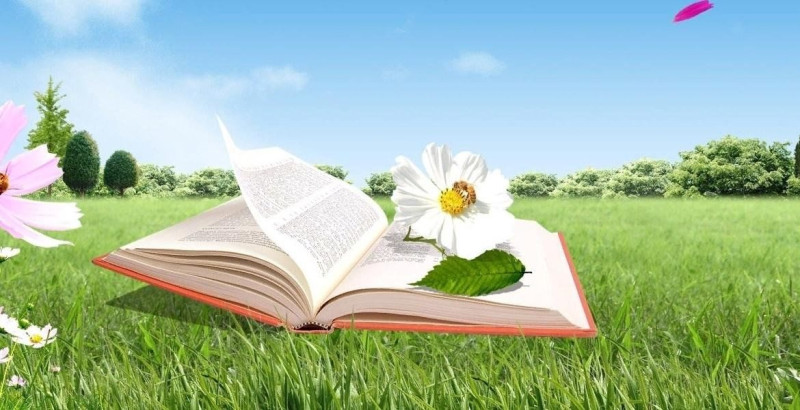 Лето в библиотеке: яркие моменты творчества, чтения и вдохновения