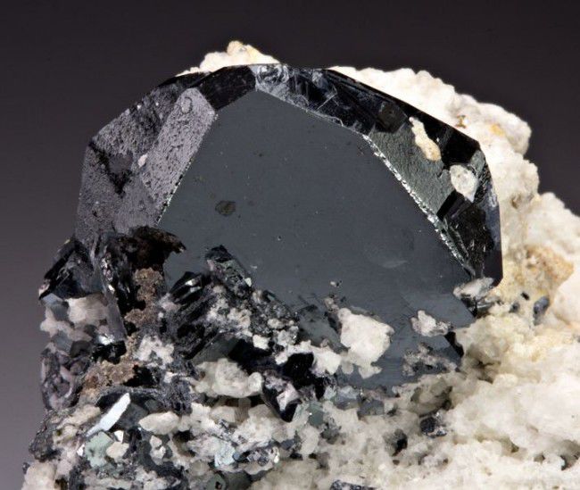 Чёрная роза Урала