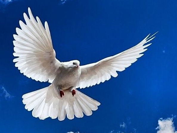 Пусть мир станет добрее