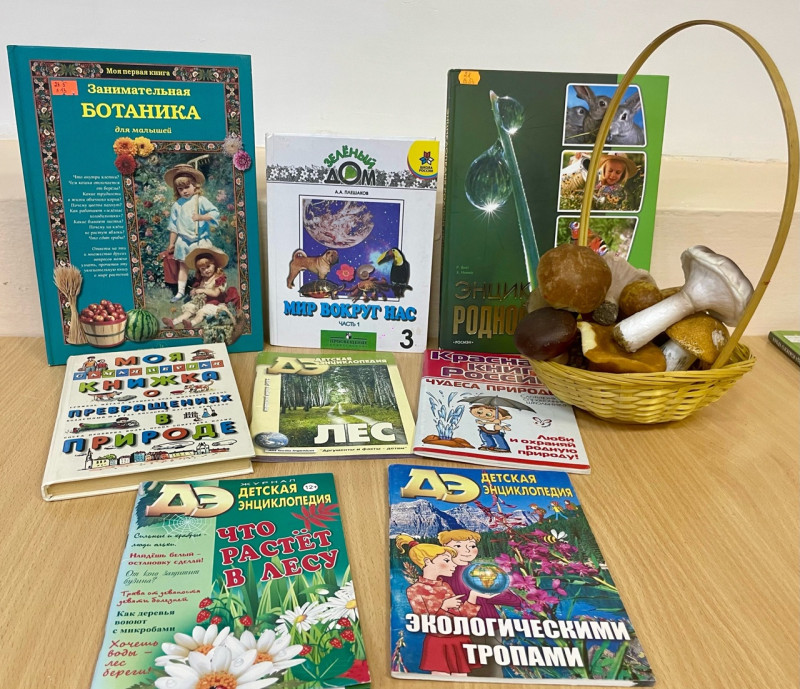 Грибное лукошко