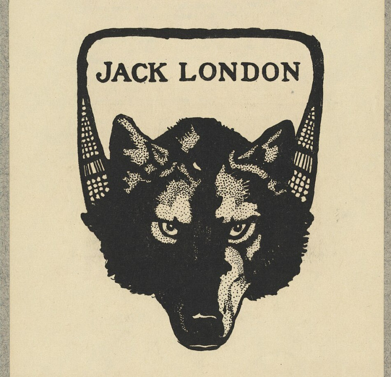 Жизнь — игра, достойная мужчины