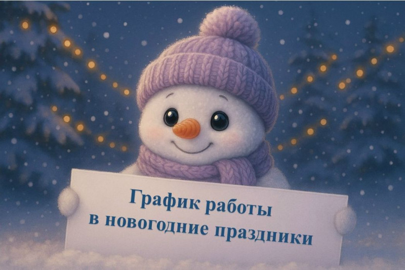 График работы библиотек в новогодние праздники