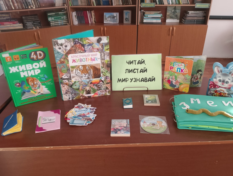 Покормите птиц зимой