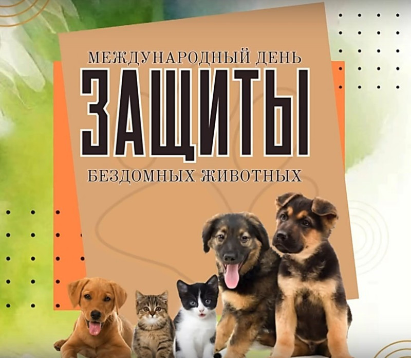 Всемирный день защиты бездомных животных