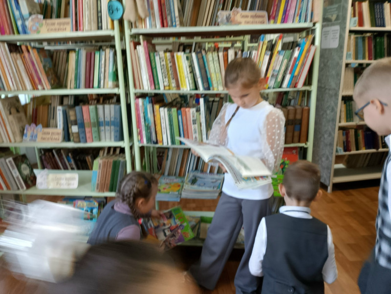 Книжные истории